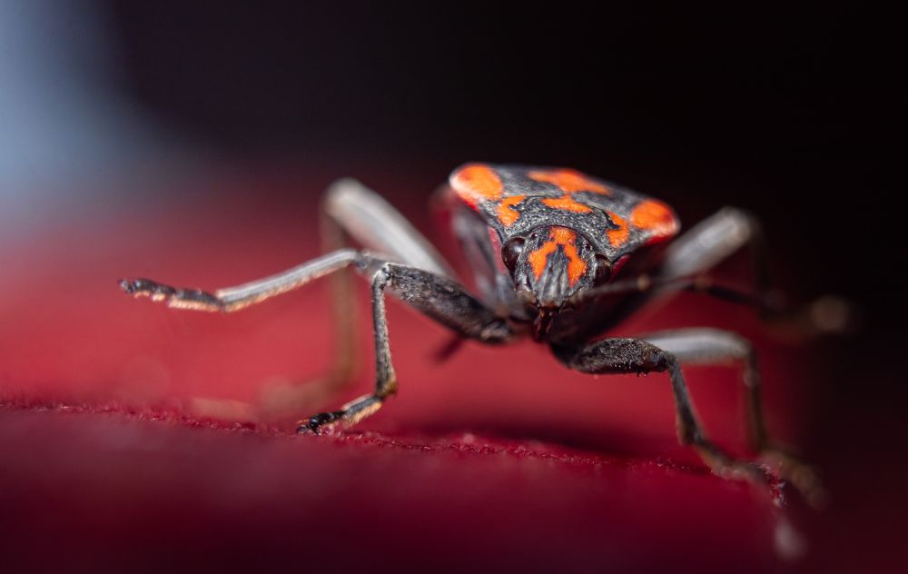 Photograph by Patryk George