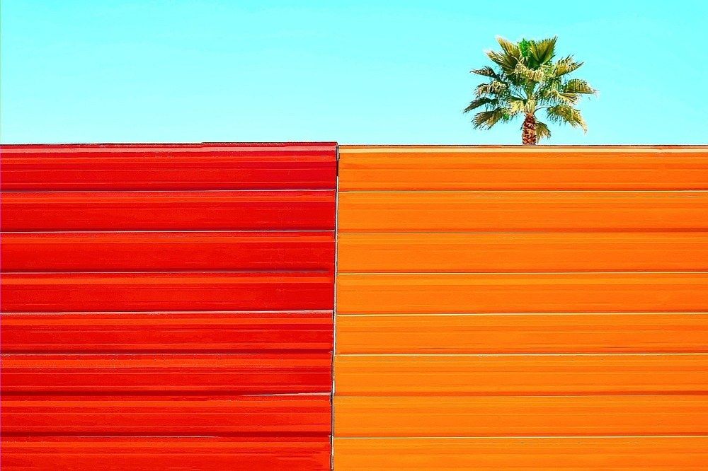 Photograph by Mohammad Damshekan