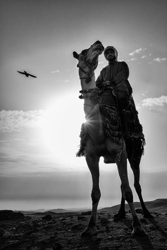 Travels in Black and White