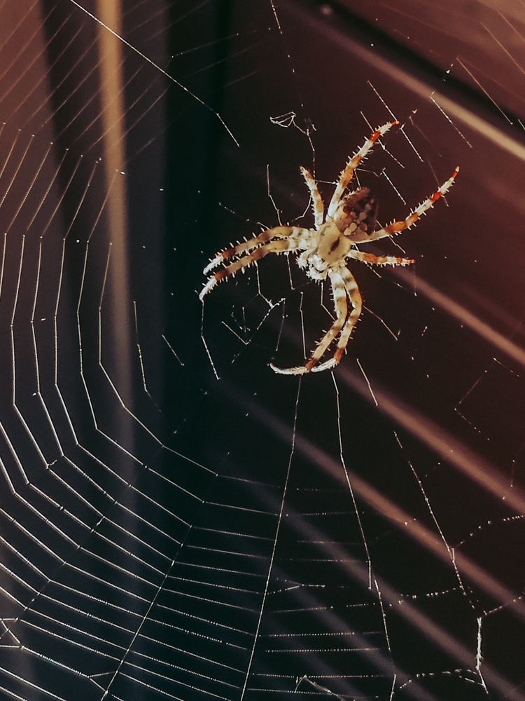 Photograph by Власова Ольга Николаевна