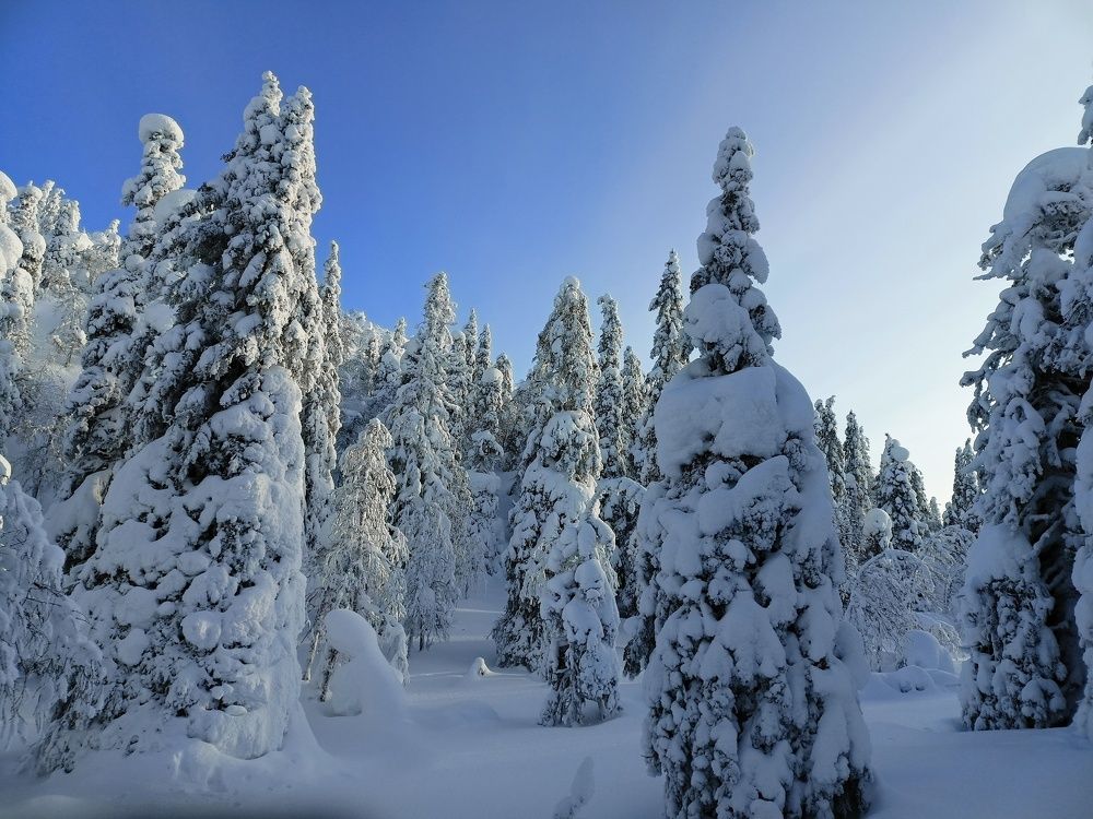 Photograph by Анастасия