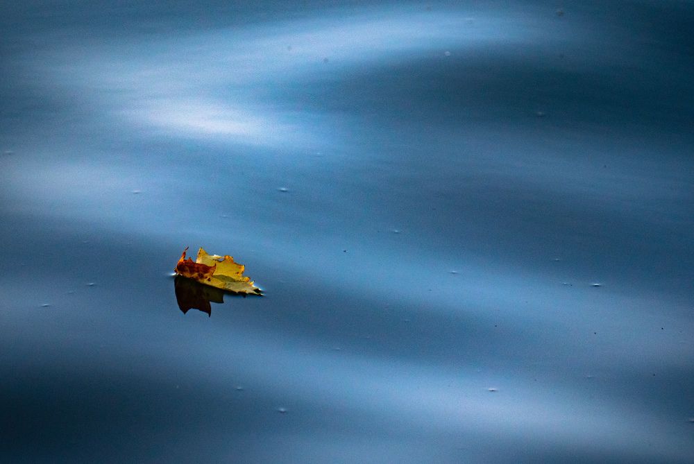 Photograph by Morring David