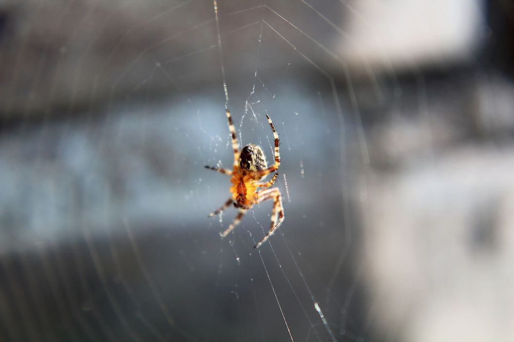 Photograph by VLADISLAVS MIKUSA