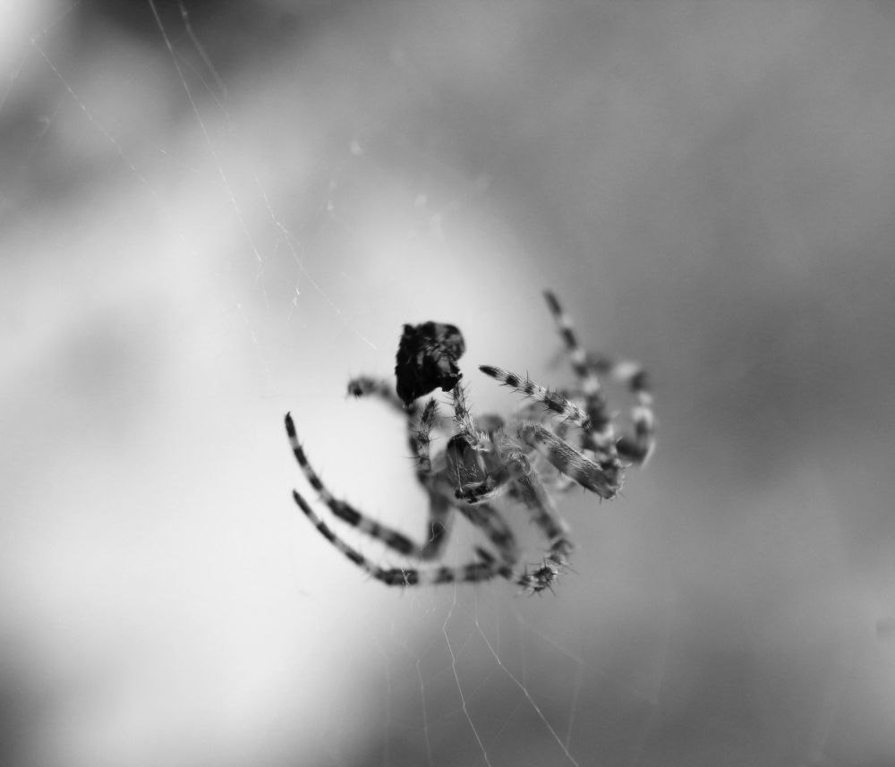 Photograph by VLADISLAVS MIKUSA