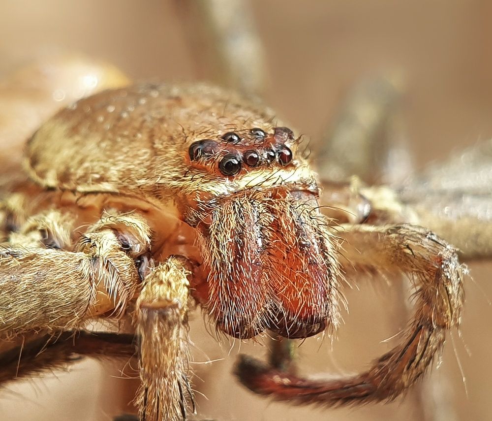 Photograph by Lien Nguyen