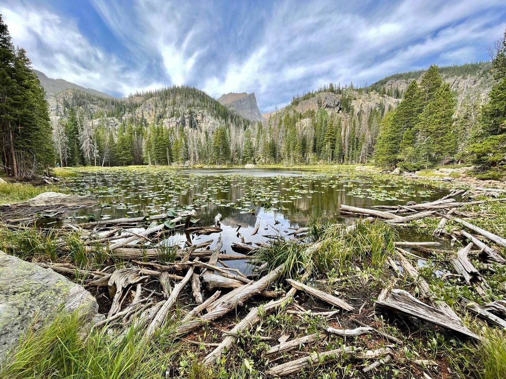 Photograph by Oleksandr Petrov