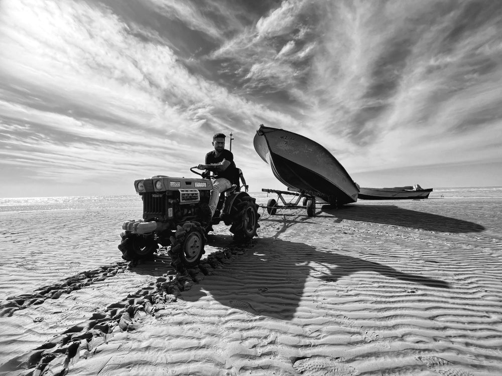 Photograph by mohammad mahmoodpoor