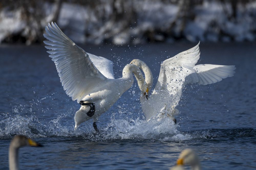Photograph by Евгений Санин