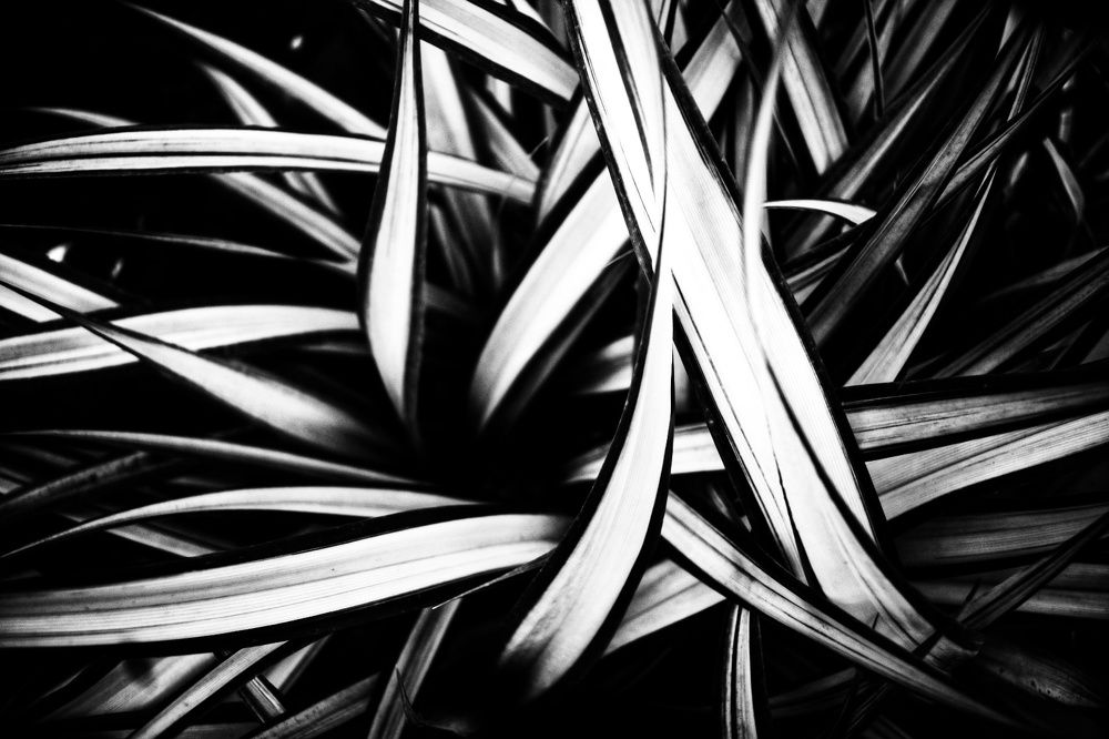 Фотография автора ABHISHEK SHAH