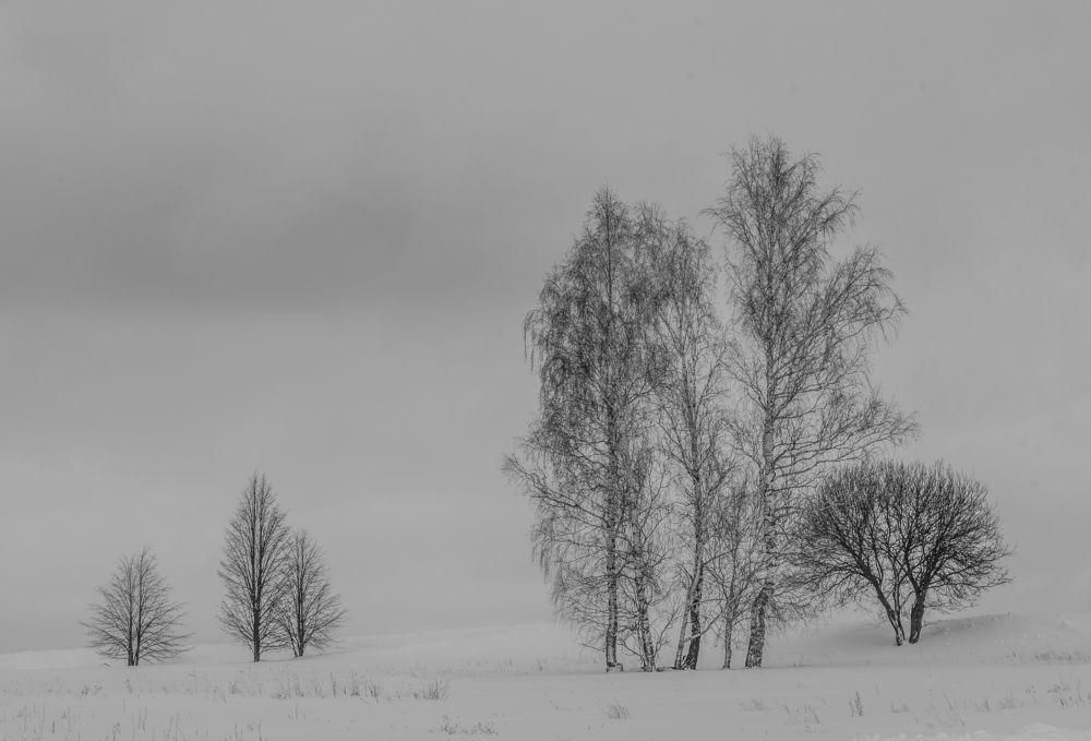 Фотография автора Виктор Руденко