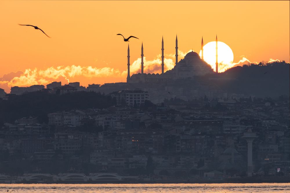 Photograph by Мария Григорьева