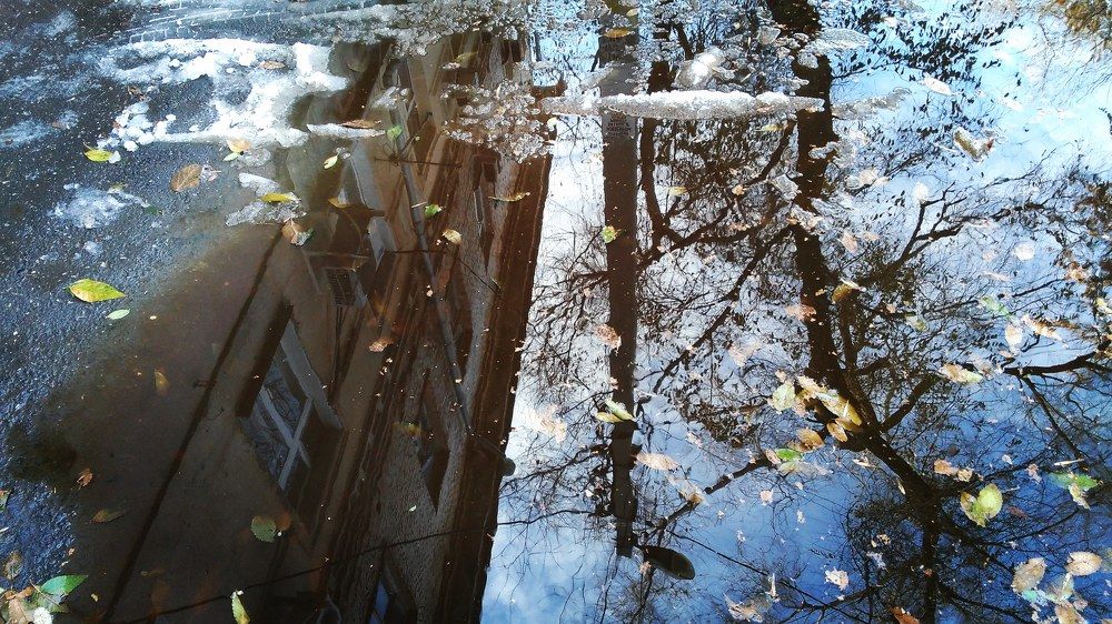 Photograph by Нина Паршина