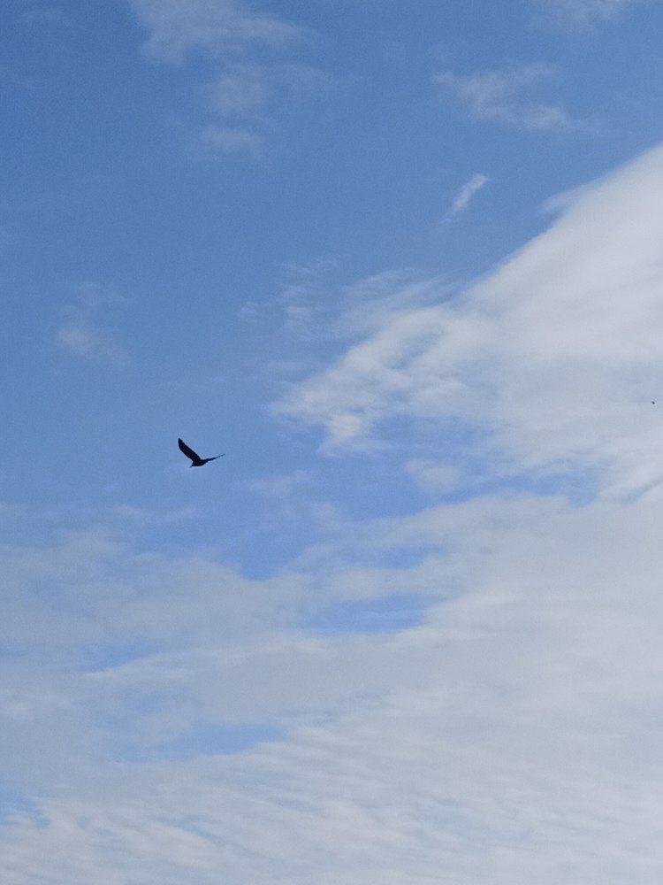 Фотография автора Татьяна Долгушева