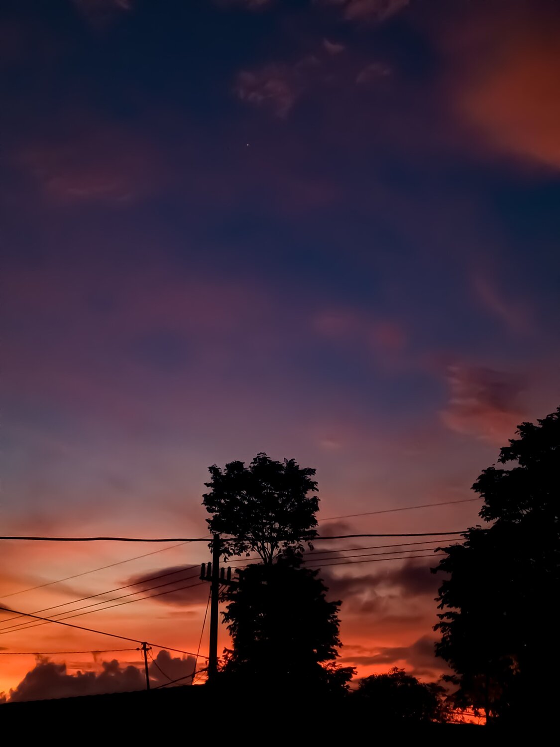 Photo #7287287
