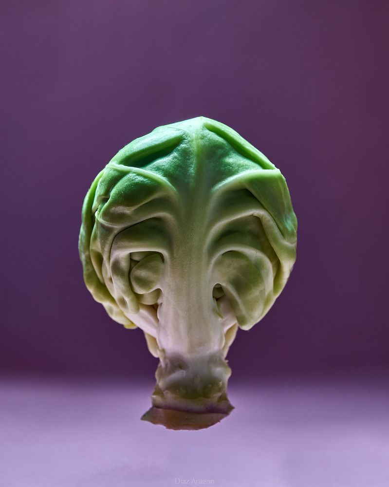 Фотография автора Santiago Diaz Aragon