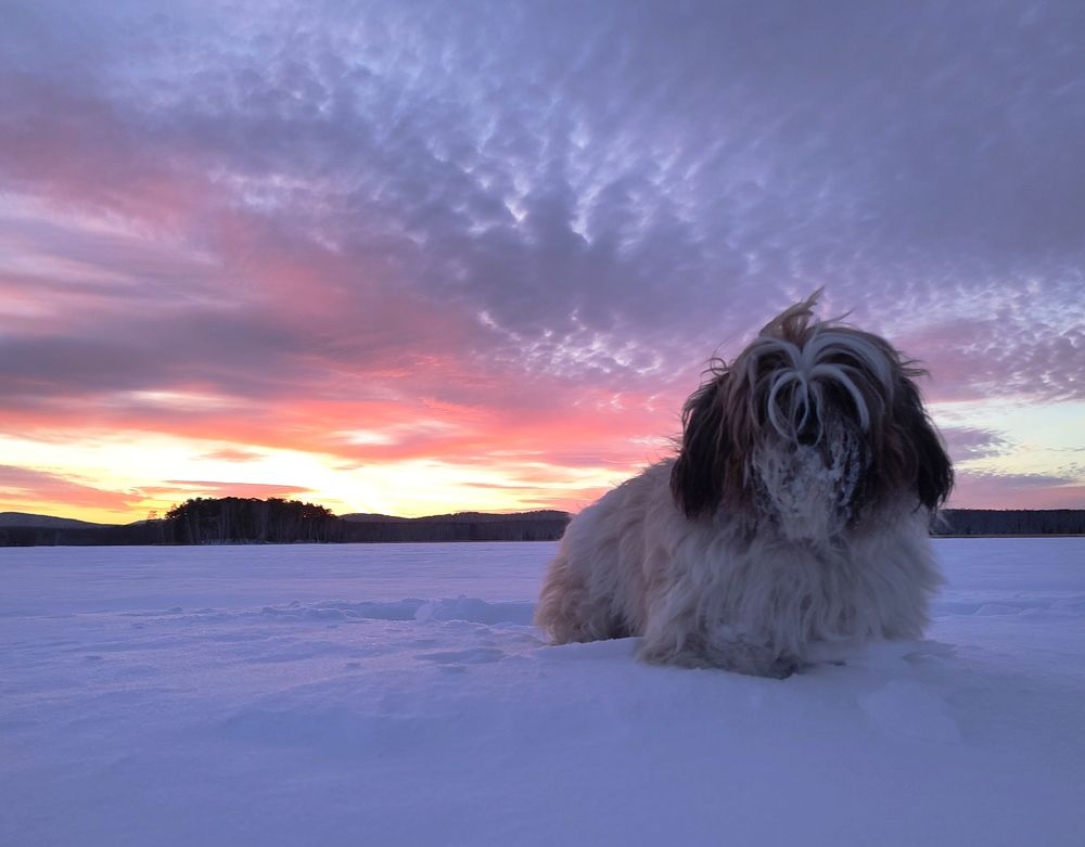 Photograph by Юлия Гинтер