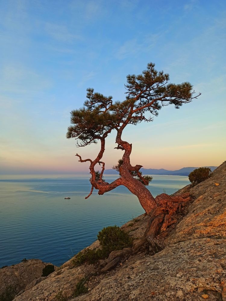 Photograph by Сергей Жигульский