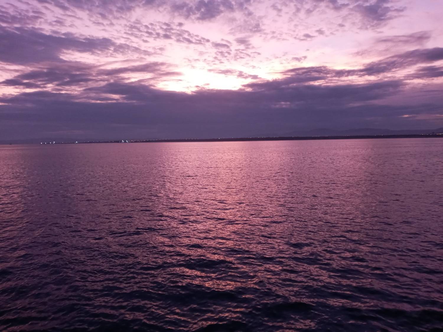 Photo #7287371