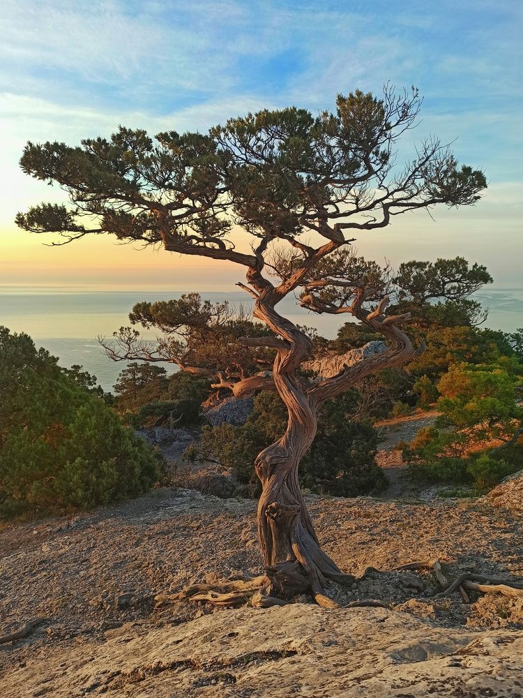 Photograph by Сергей Жигульский