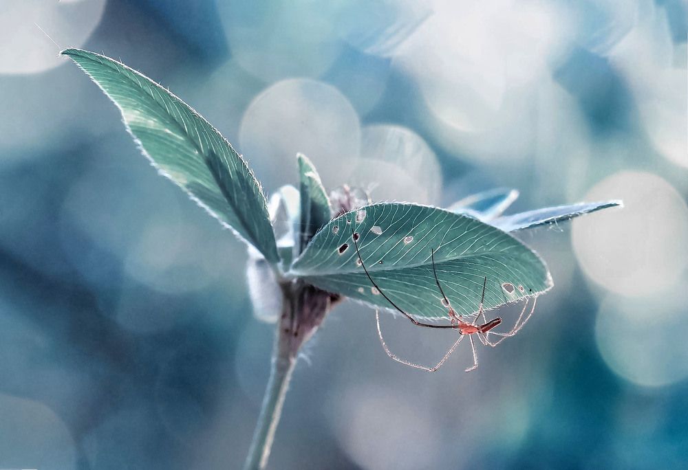 Photograph by Елена Осколкова