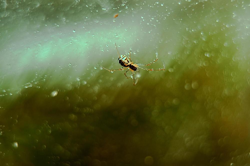 Photograph by Елена Осколкова