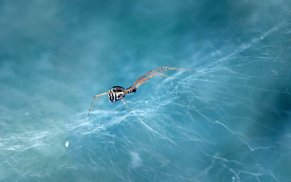 Photograph by Елена Осколкова