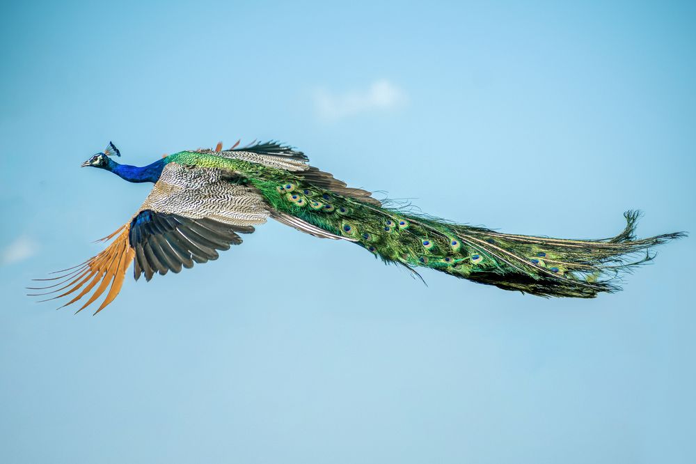 Photograph by Atheeb Mohamed