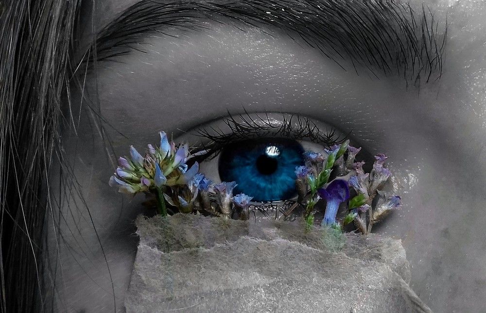 Photograph by Kate Hondochka