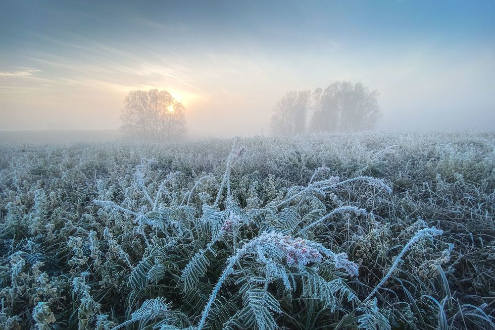 Photograph by Николай Наумов