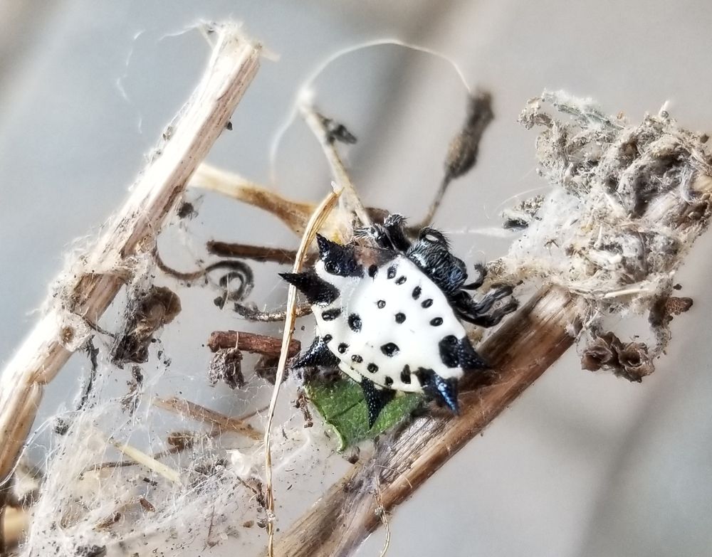 Photograph by Matthiola Photography