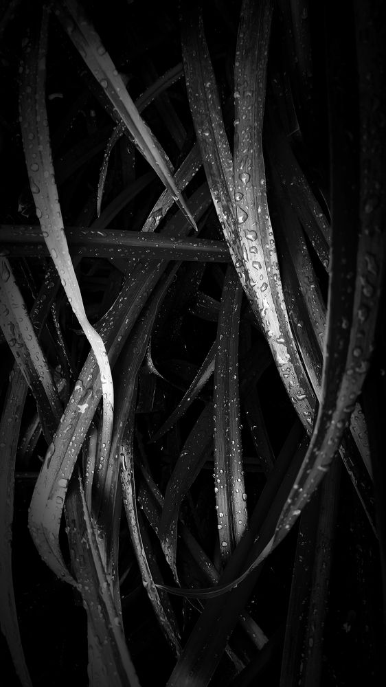 Photograph by Татьяна Смирнова