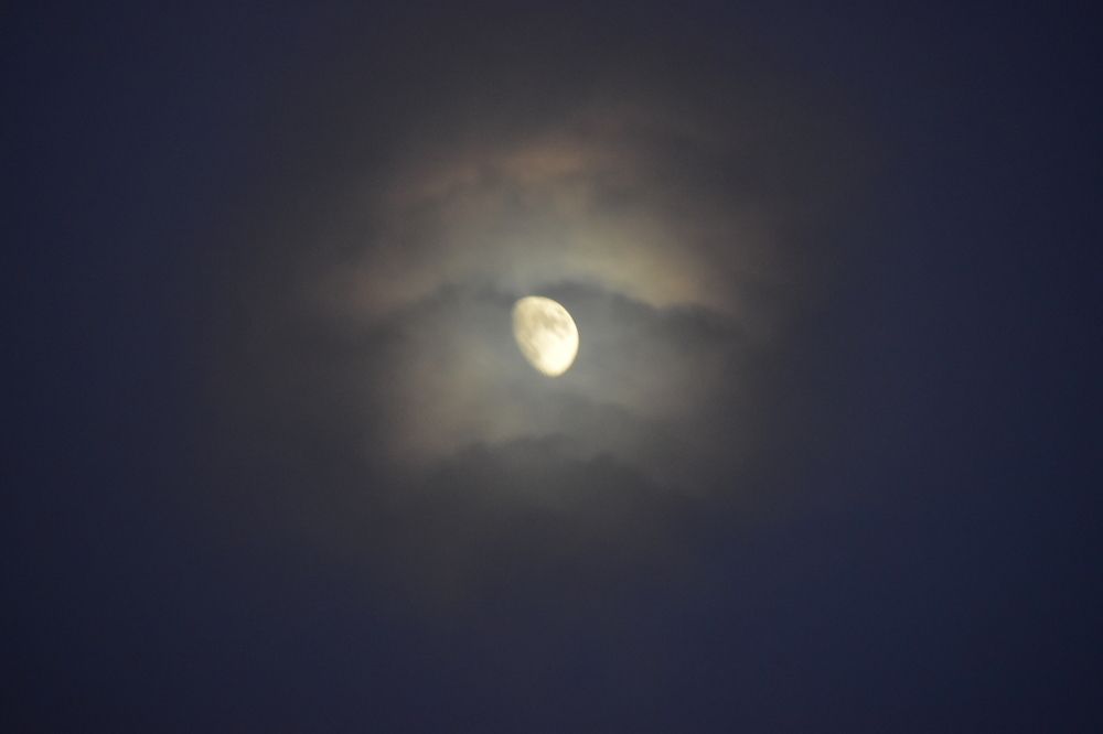 Photograph by Елена Антонова