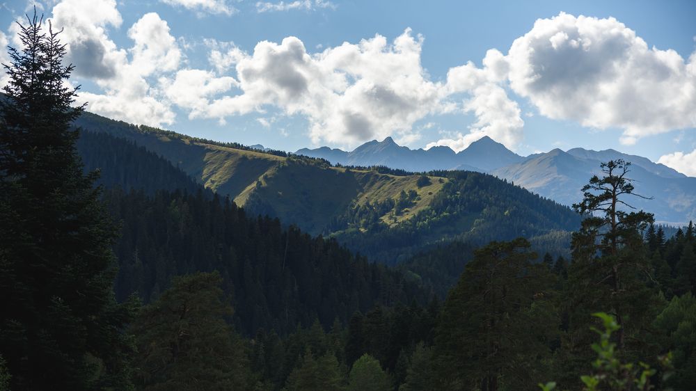 Photograph by Николай Писецкий