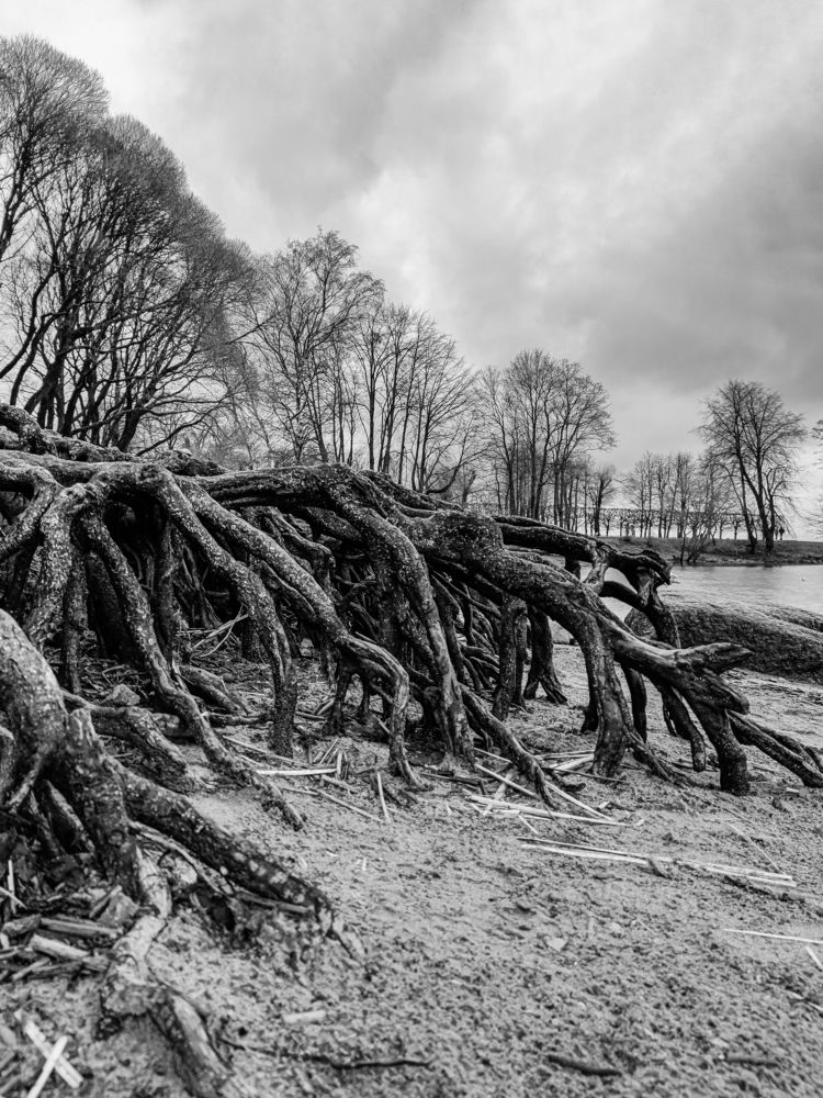 Photograph by Екатерина Зубарева