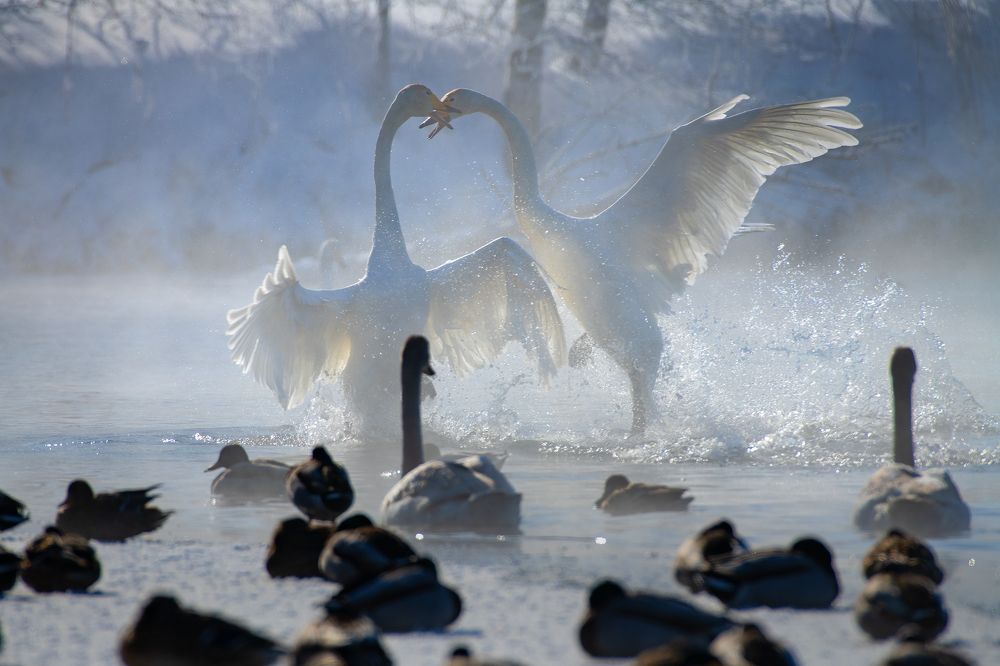 Photograph by Евгений Санин