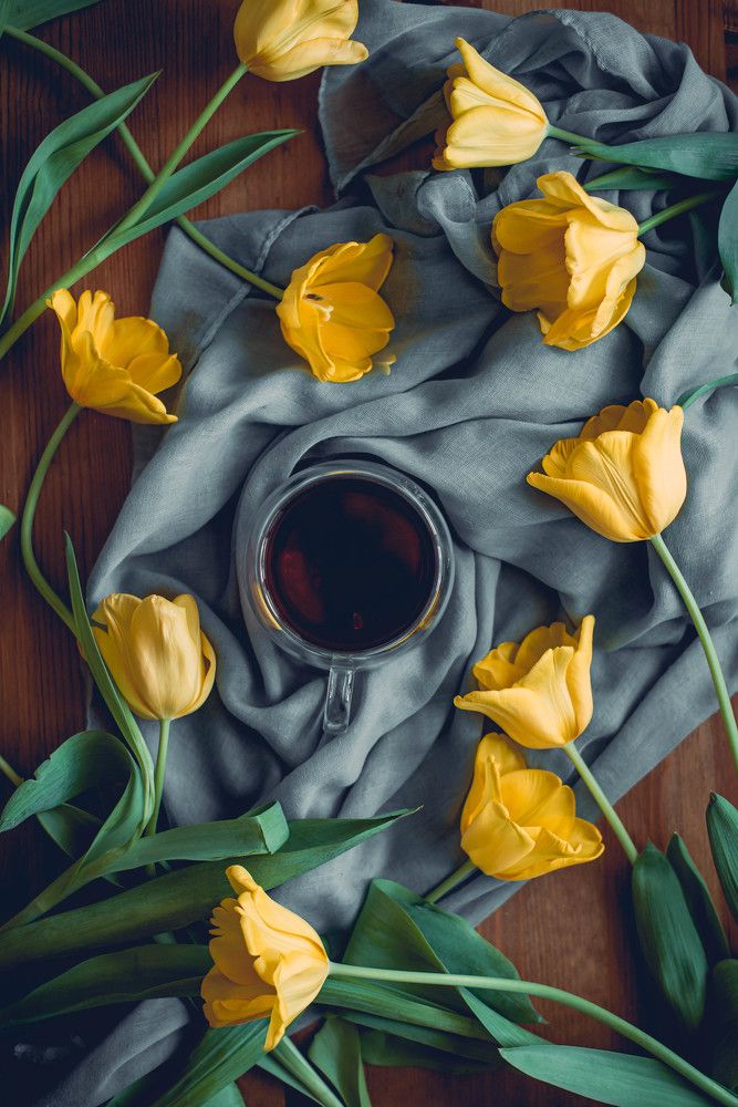 Весеннее утро