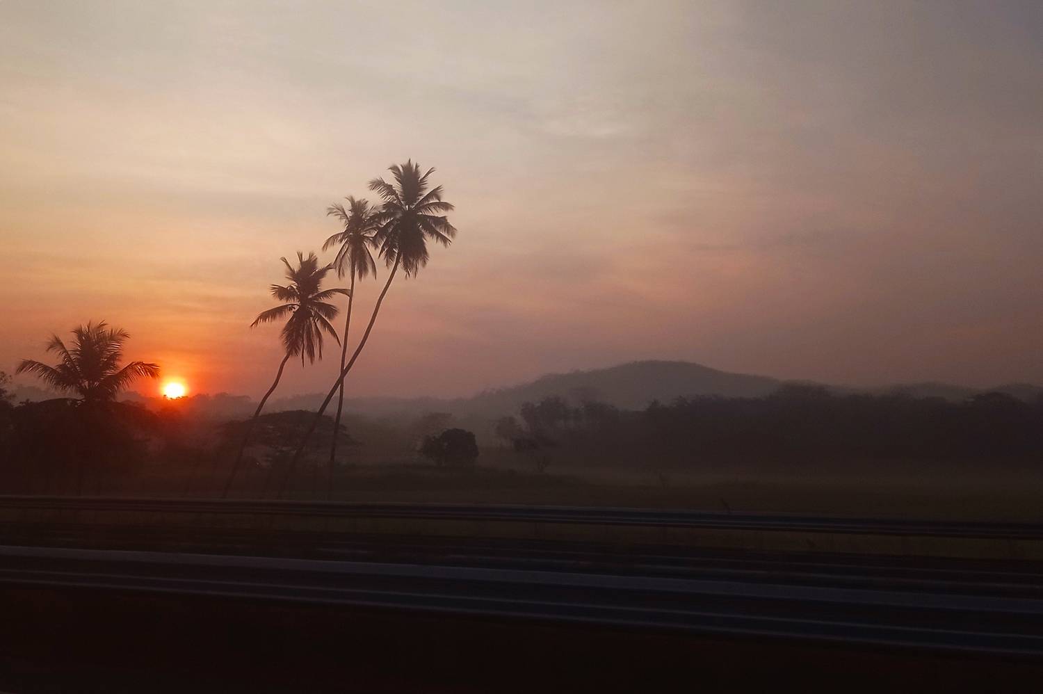 Photo #7287561