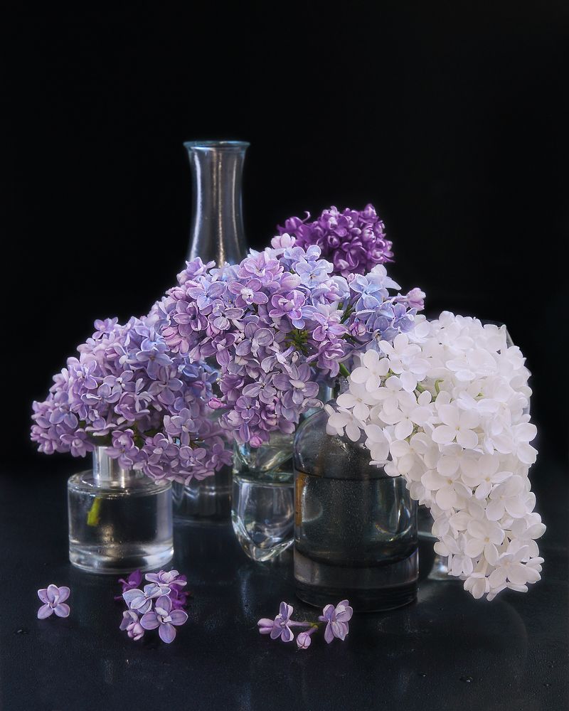 Photograph by Людмила Ефремова