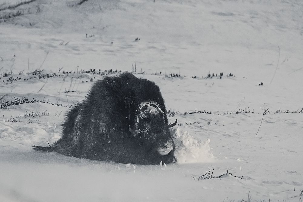 Photograph by Ernestas Balcikonis