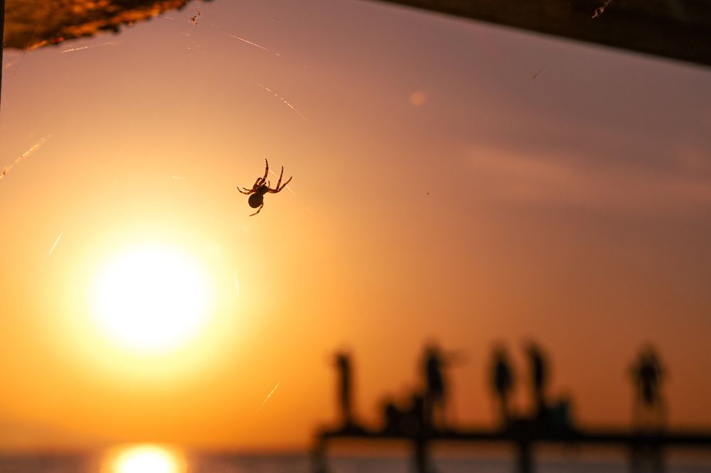 Photograph by Лина Липатова