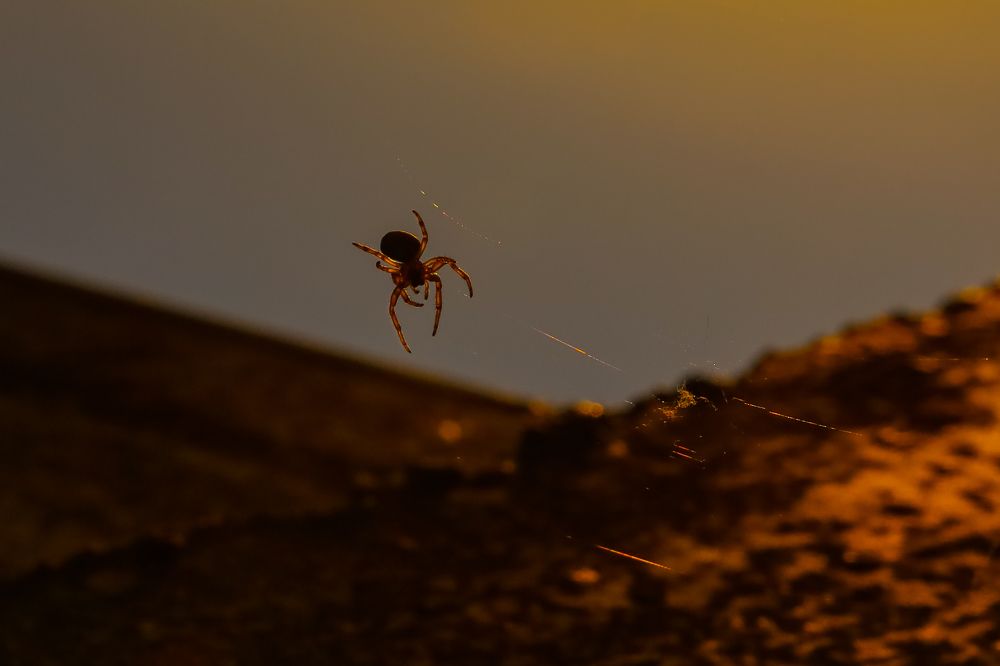 Photograph by Лина Липатова