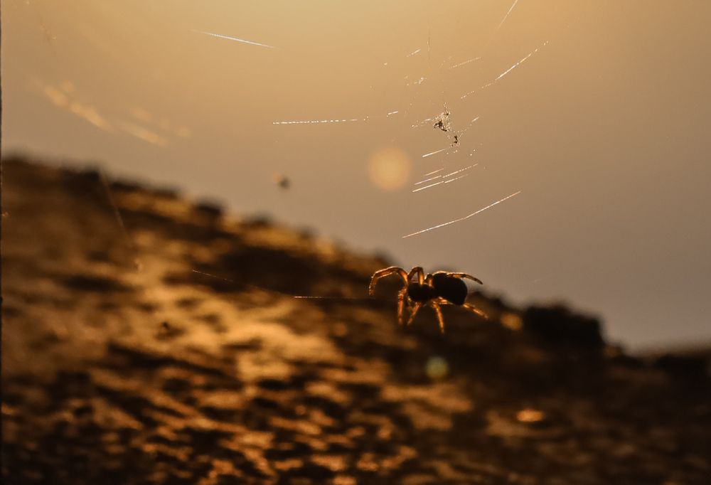 Photograph by Лина Липатова