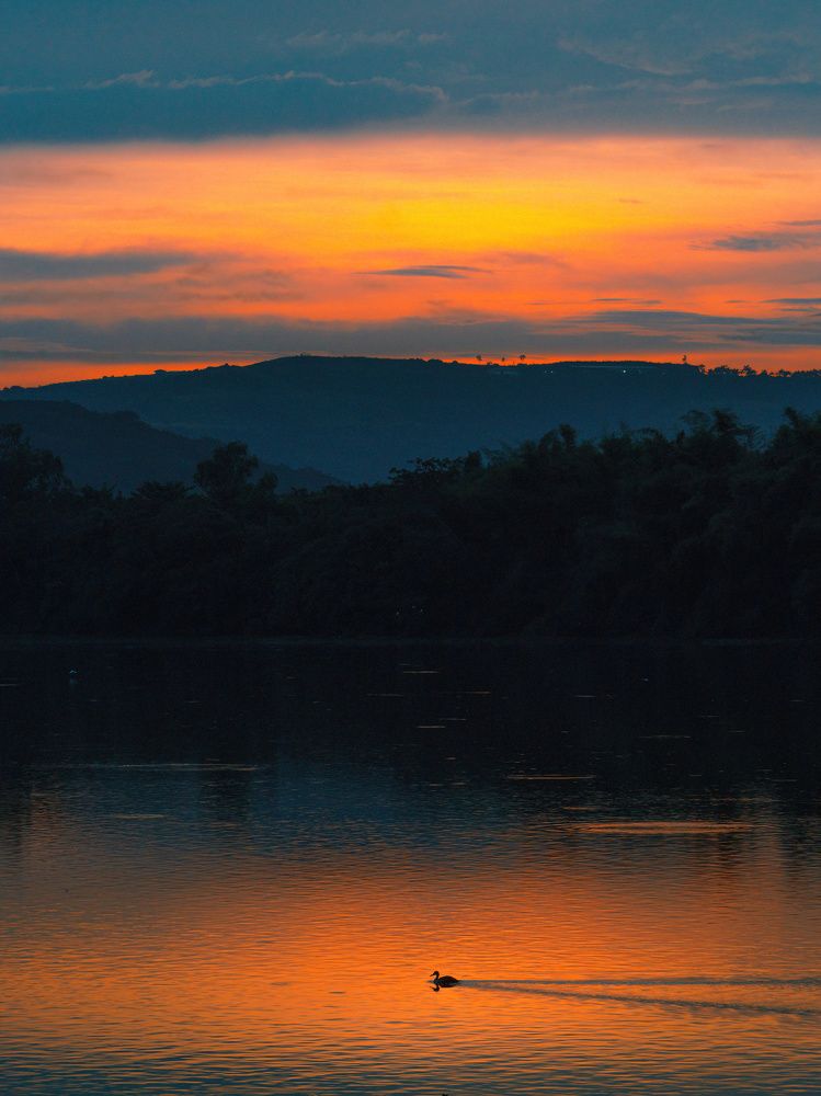Silhouette against the golden hour lights