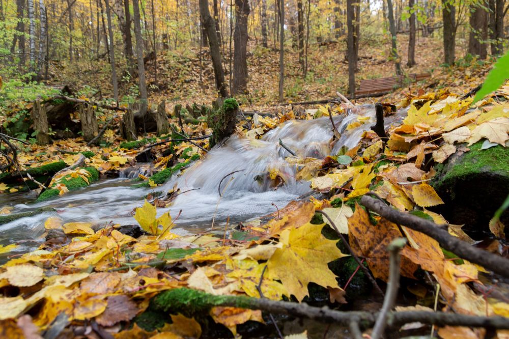 Photograph by Вячеслав