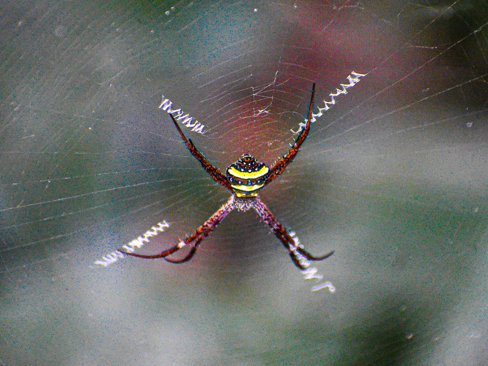 Фотография автора ANKIT GHOSH