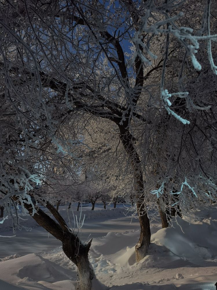 Photograph by Галина Беляева