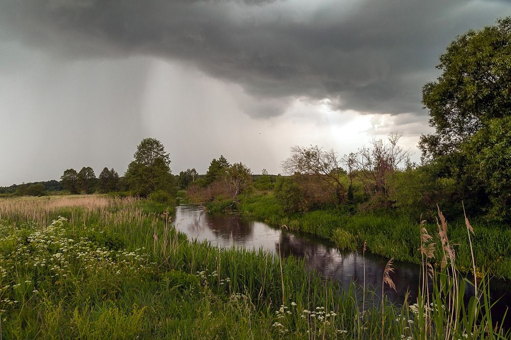 Photograph by Александр Войтко