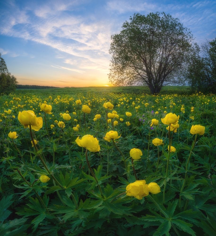 Photograph by  Михаил