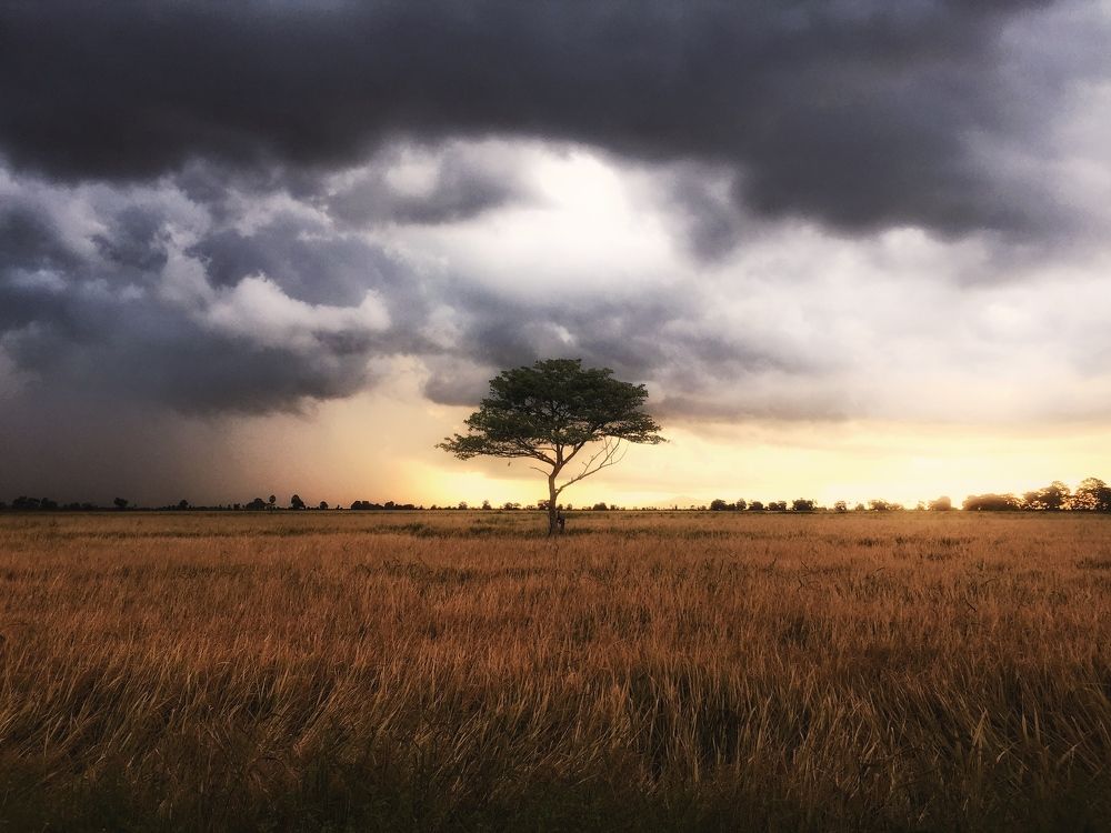 Photograph by Mohamed Aashik Mohamed Caseem