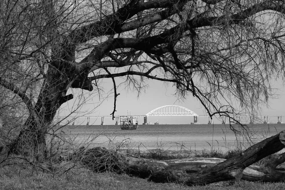 Photograph by Михаил Нестеренко